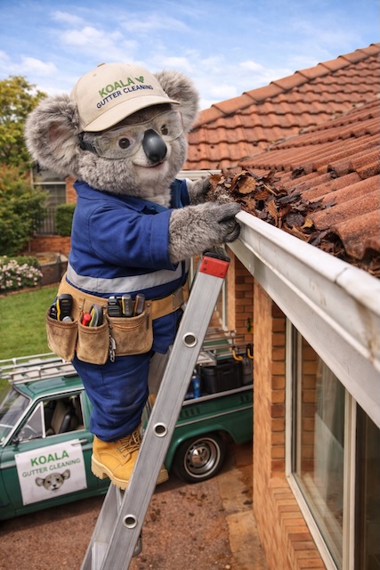Koala Contractorz inspecting an Adelaide tiled roof for visible repair concerns